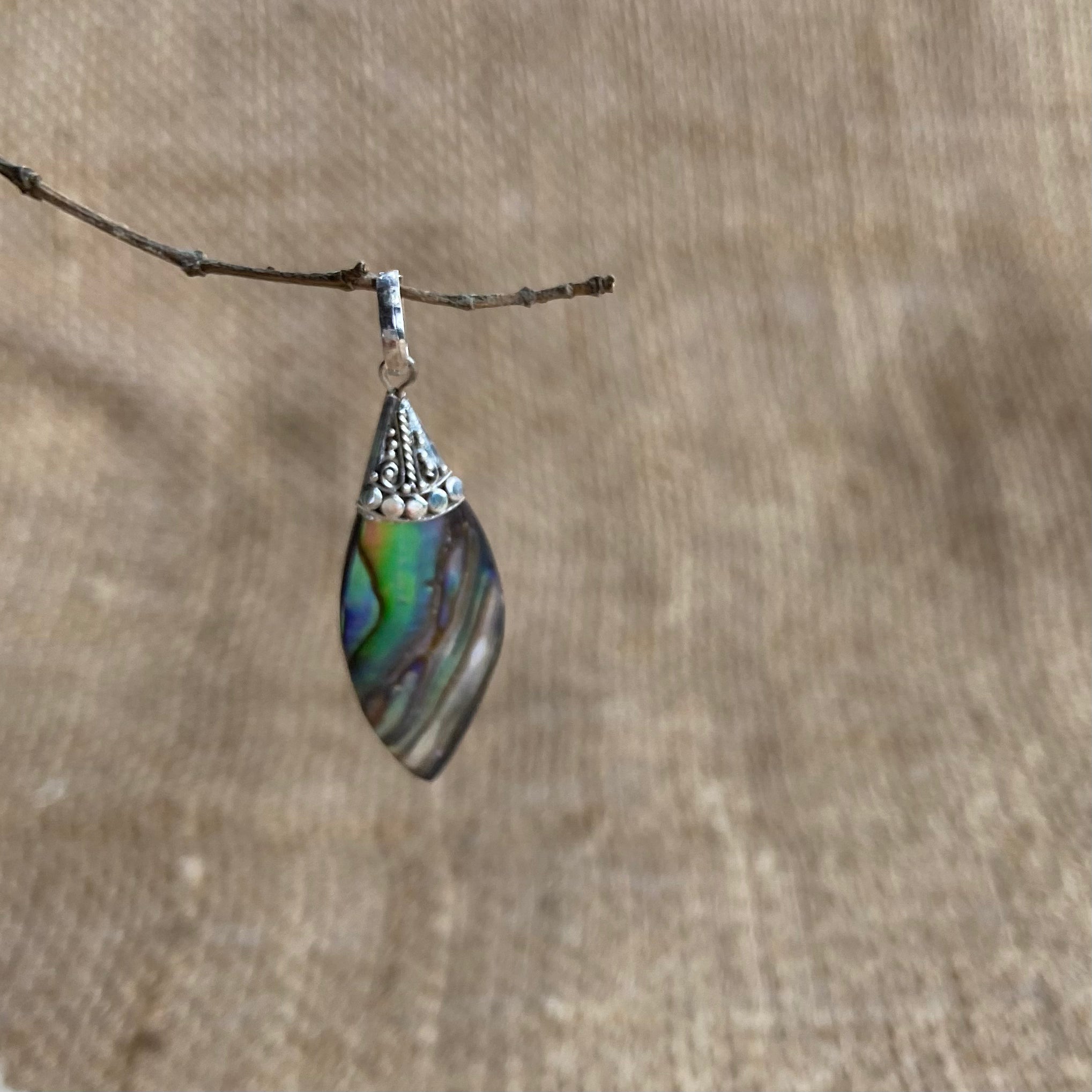 Pingente Abalone Prata 925. PG-037