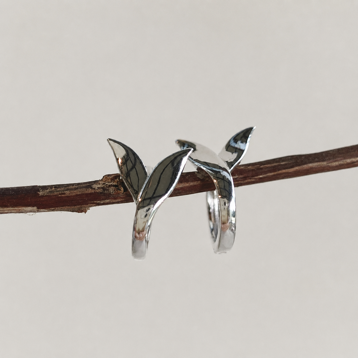 Argola Cauda de Baleia. BR-259