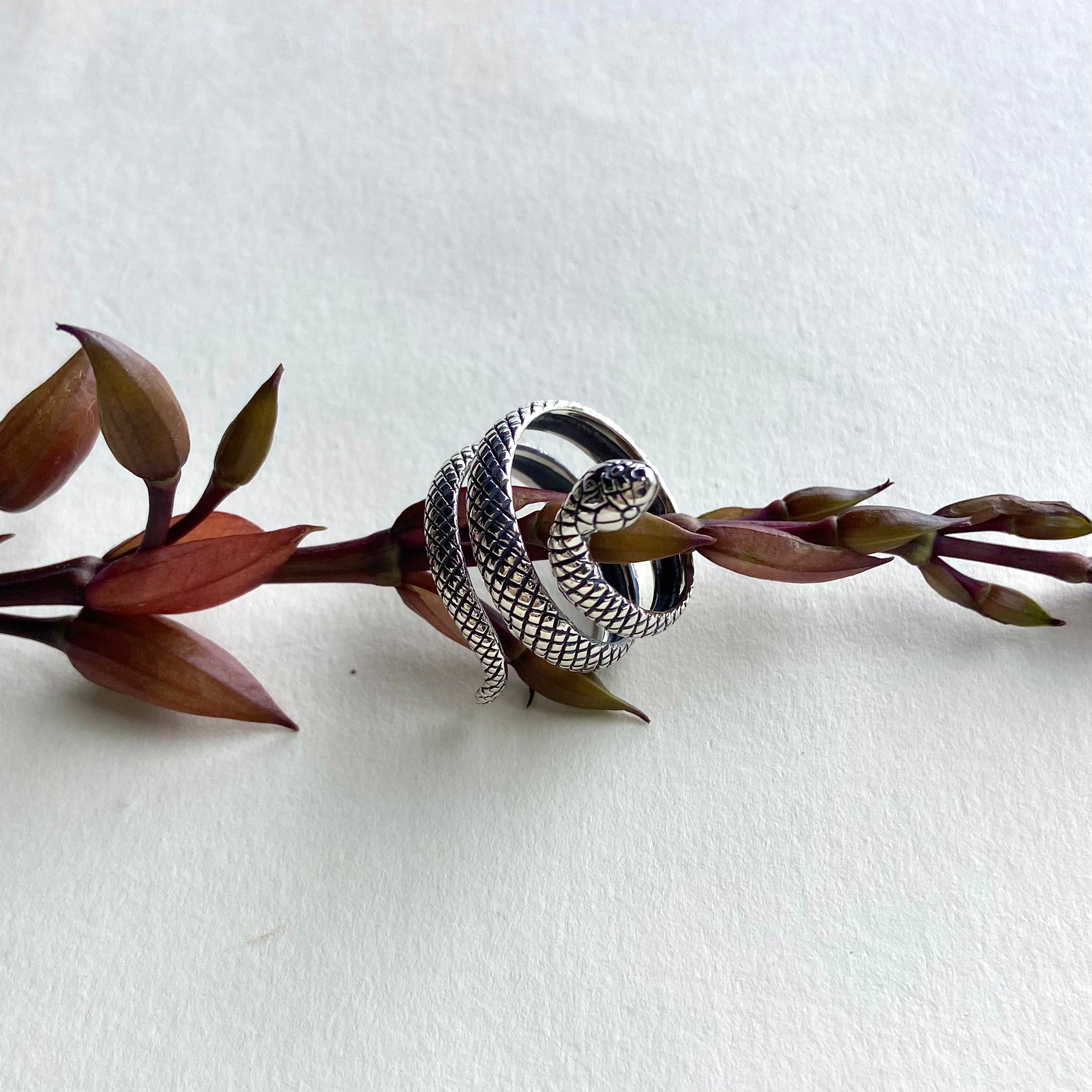 Anel Prata 925 AN 000154