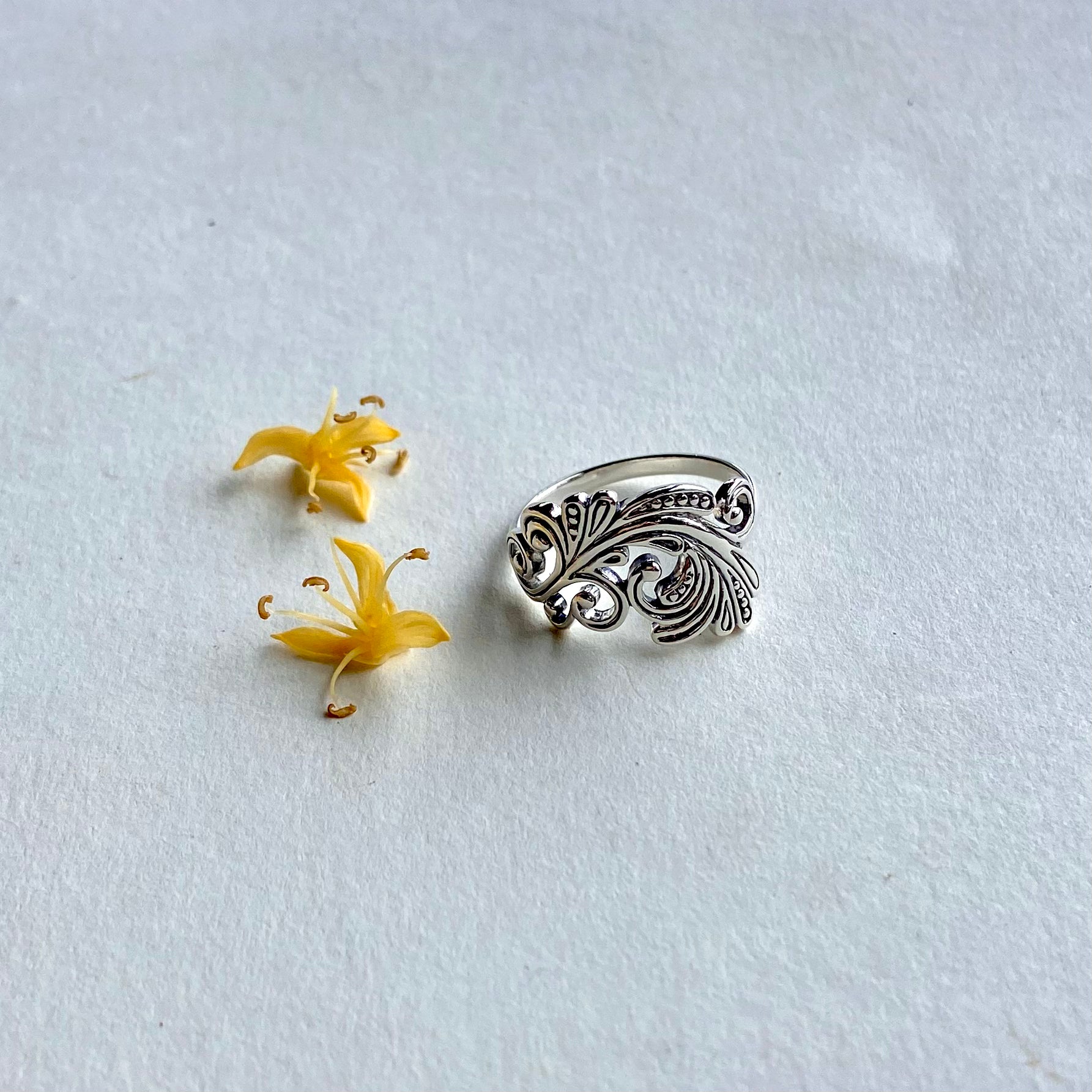 Anel Prata 925  AN 000155