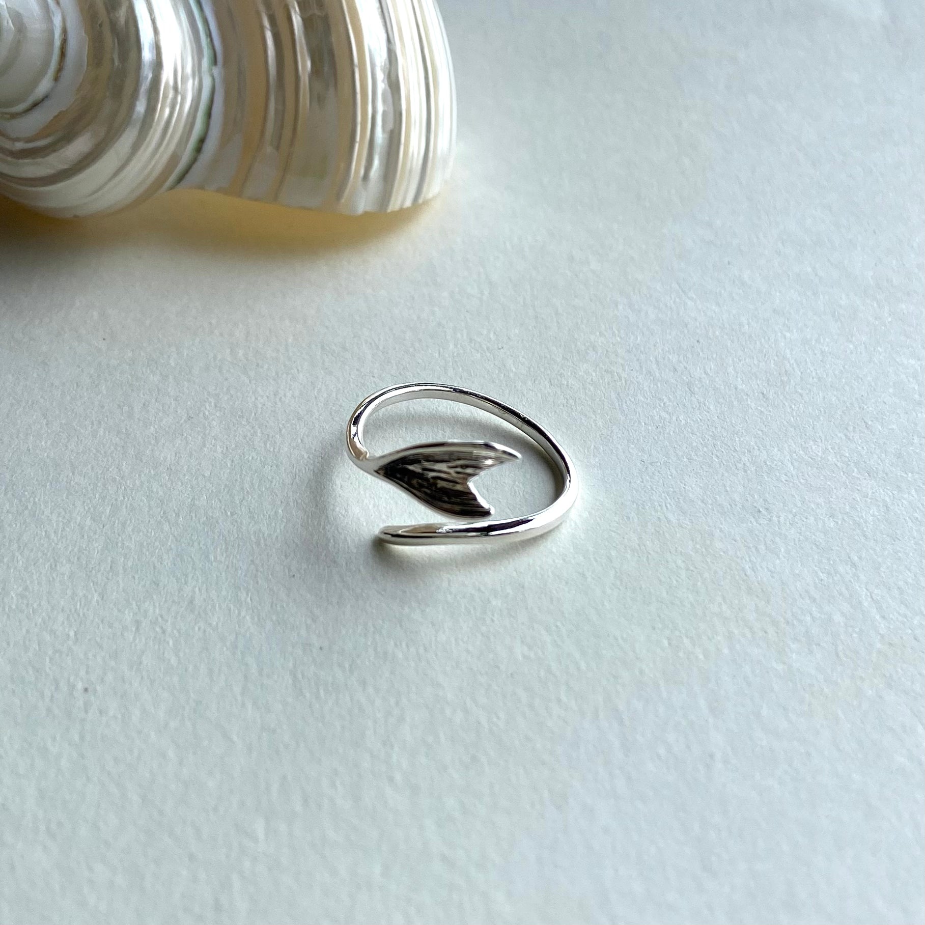 Anel Prata 925 AN 000151